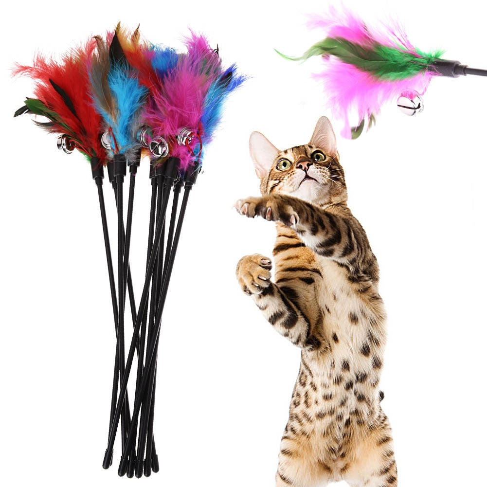 Kitten Feather Toy